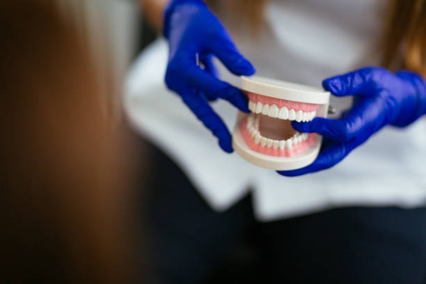 Best Pediatric Dentistry  in Venersborg, WA